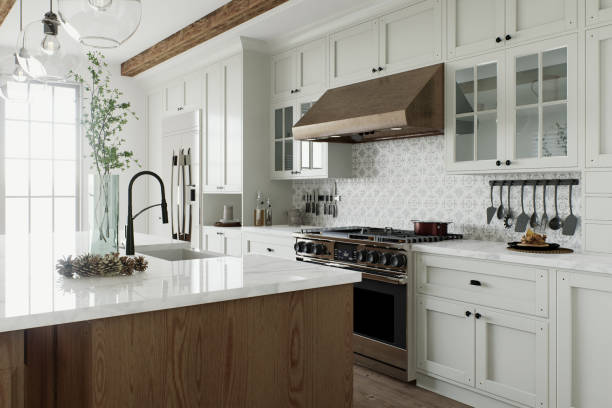 Affordable Open Concept Kitchen solutions in New Prague, MN